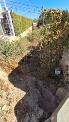 Photo of this report