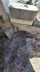 Photo of this report