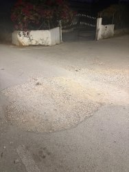 Photo of this report