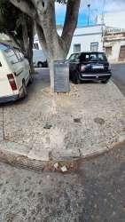 Photo of this report