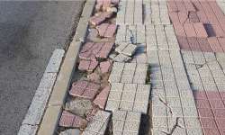 Photo of this report