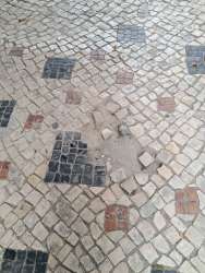 Photo of this report