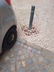 Photo of this report