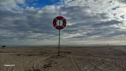 Photo of this report