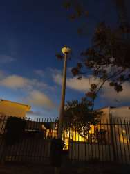 Photo of this report