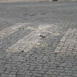 Photo of this report