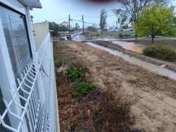 Photo of this report