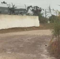 Photo of this report