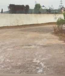 Photo of this report