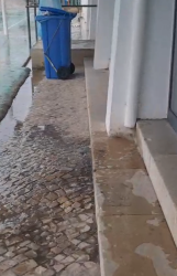 Photo of this report