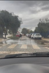 Photo of this report