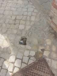 Photo of this report