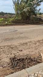 Photo of this report