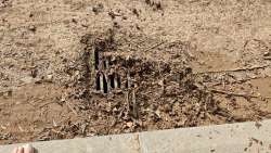 Photo of this report