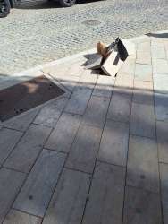 Photo of this report