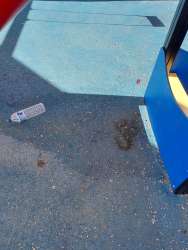 Photo of this report