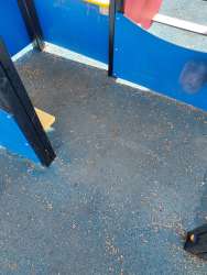 Photo of this report