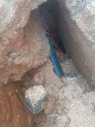 Photo of this report