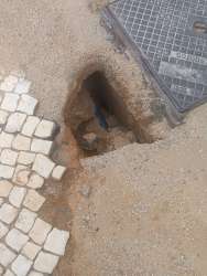 Photo of this report