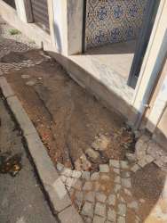 Photo of this report