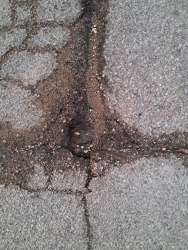 Photo of this report