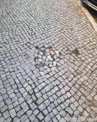 Photo of this report