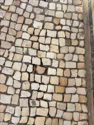 Photo of this report