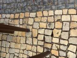 Photo of this report