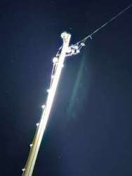 Photo of this report