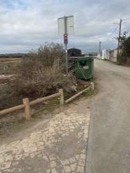 Photo of this report