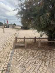 Photo of this report