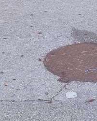 Photo of this report