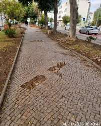 Photo of this report