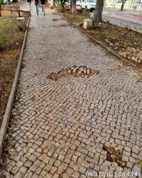 Photo of this report