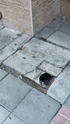 Photo of this report