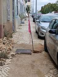 Photo of this report