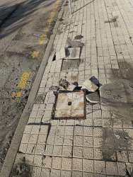 Photo of this report