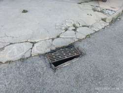 Photo of this report