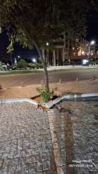 Photo of this report