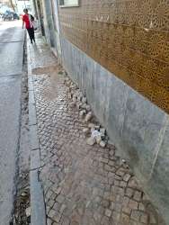 Photo of this report