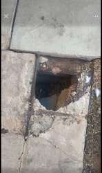 Photo of this report