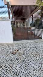 Photo of this report