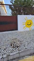 Photo of this report