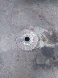 Photo of this report