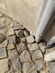 Photo of this report