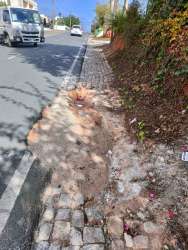 Photo of this report