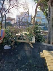 Photo of this report