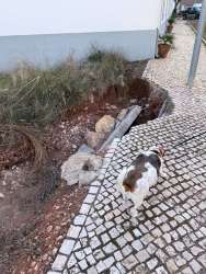 Photo of this report