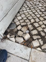 Photo of this report