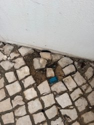 Photo of this report